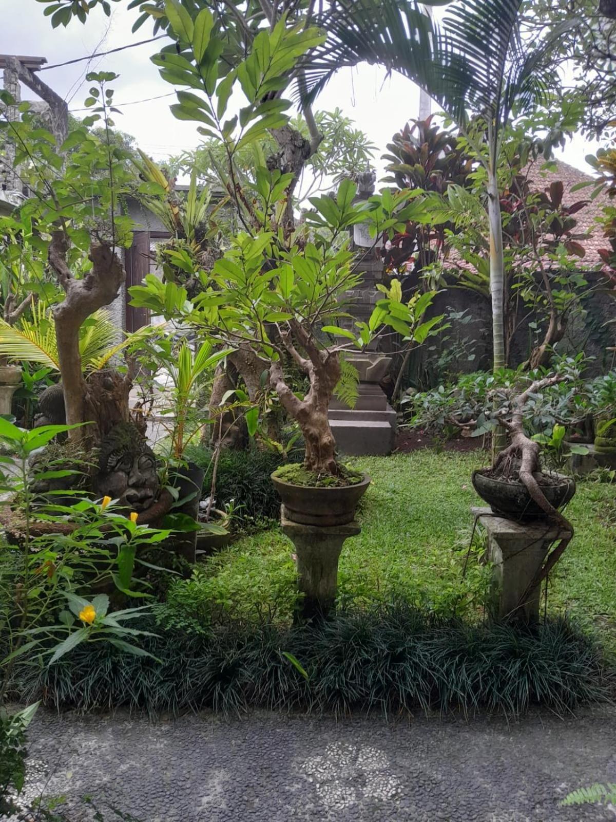 Soka Homestay Ubud Dış mekan fotoğraf