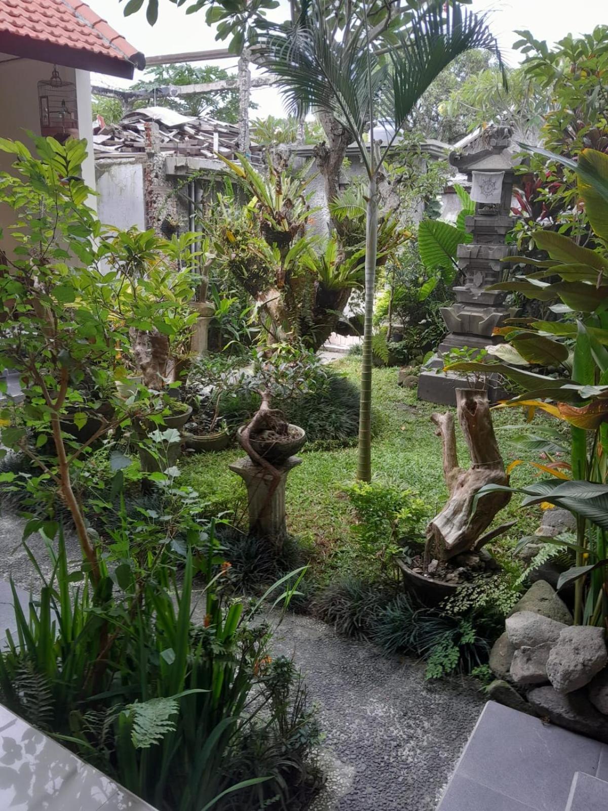 Soka Homestay Ubud Dış mekan fotoğraf