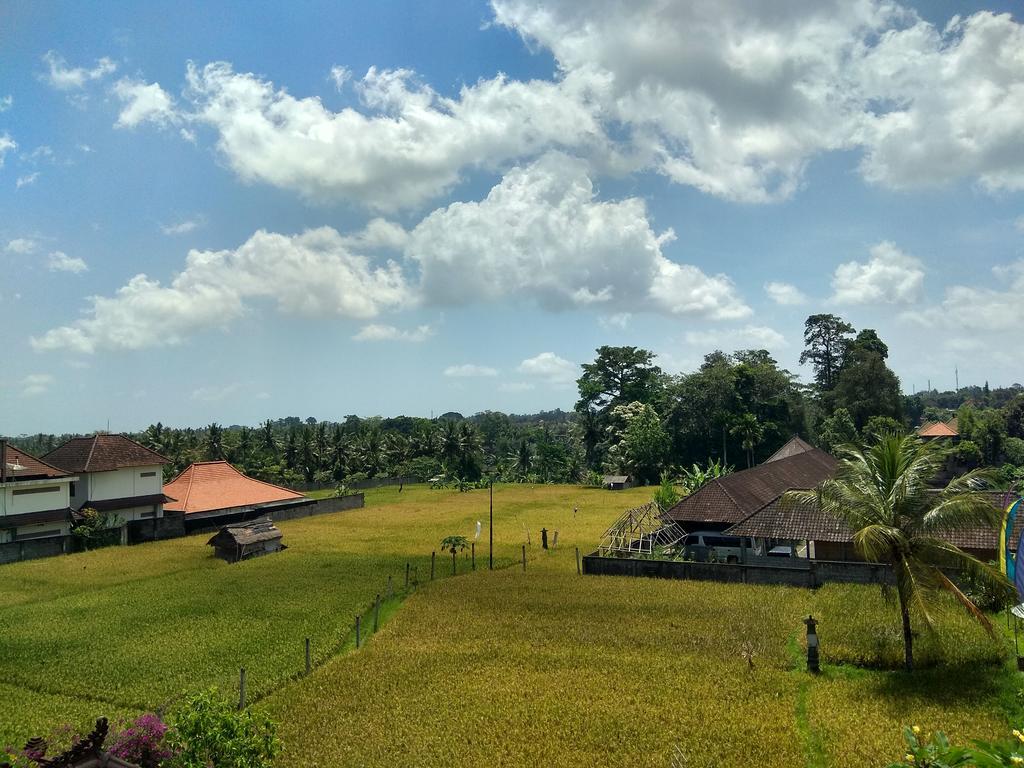 Soka Homestay Ubud Dış mekan fotoğraf