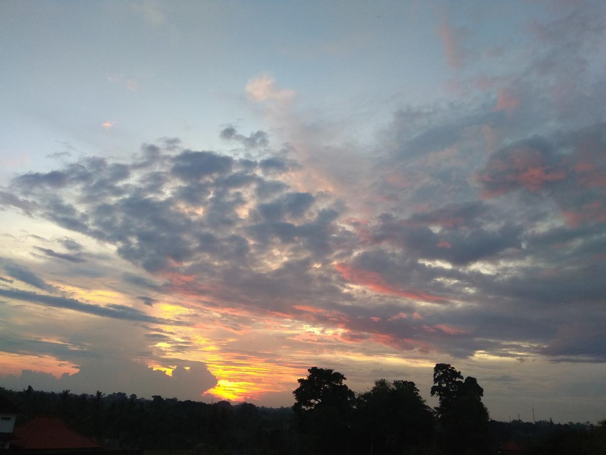 Soka Homestay Ubud Dış mekan fotoğraf