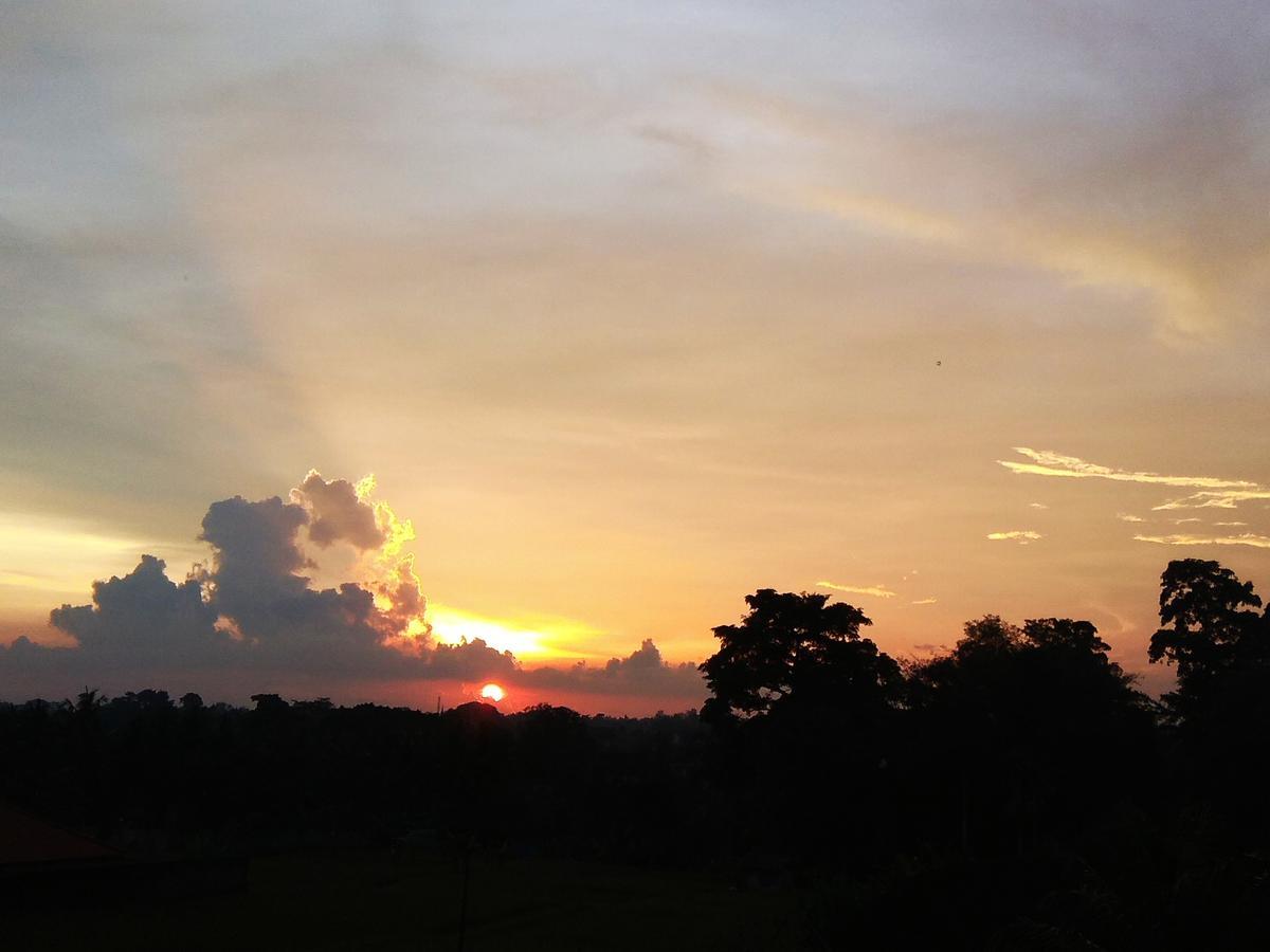 Soka Homestay Ubud Dış mekan fotoğraf